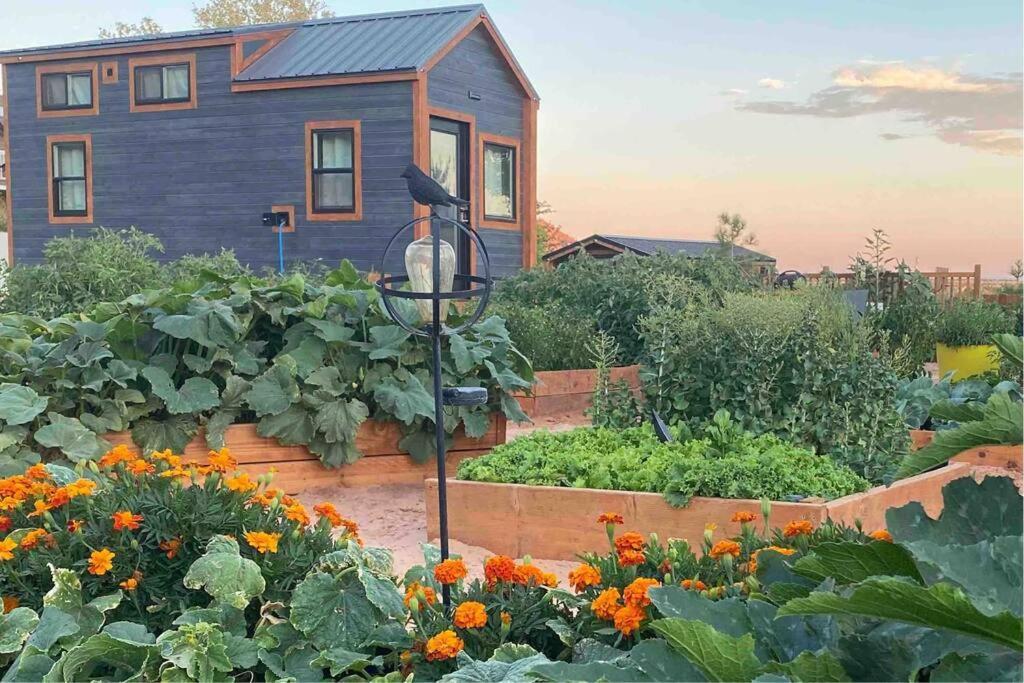Atlantis Garden Tiny Home Hildale Exterior photo