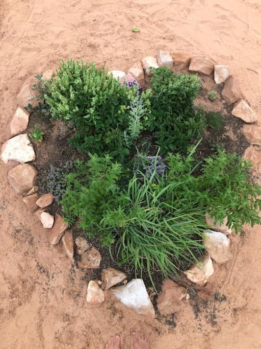 Atlantis Garden Tiny Home Hildale Exterior photo